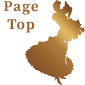 PageTop